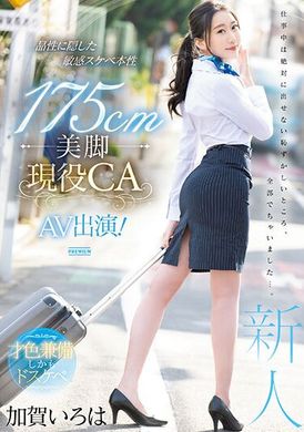 PRED-494 - 175cm美腳現役CA AV出演！隱藏著敏感又性感的本性　加賀彩葉 - 阿寶影音-成人影片,AV,JAV-專注精品‧長久經營